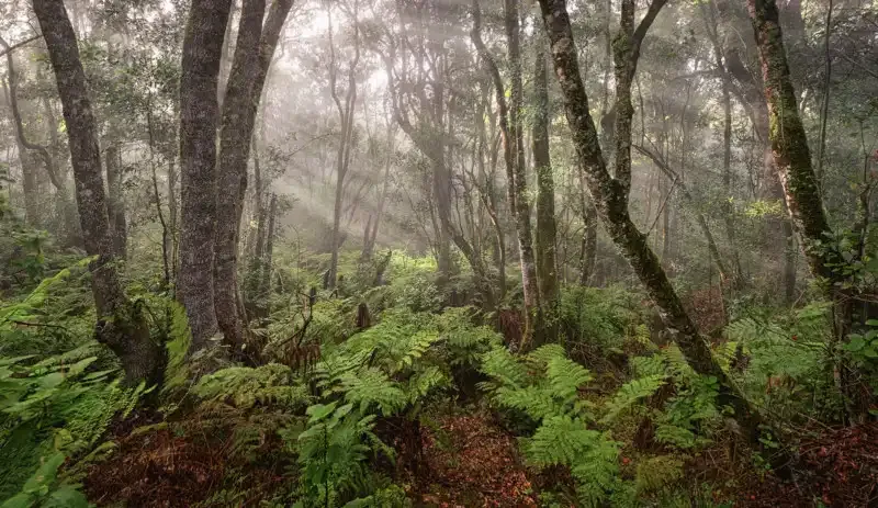 16 Tipos de fotografía de paisaje